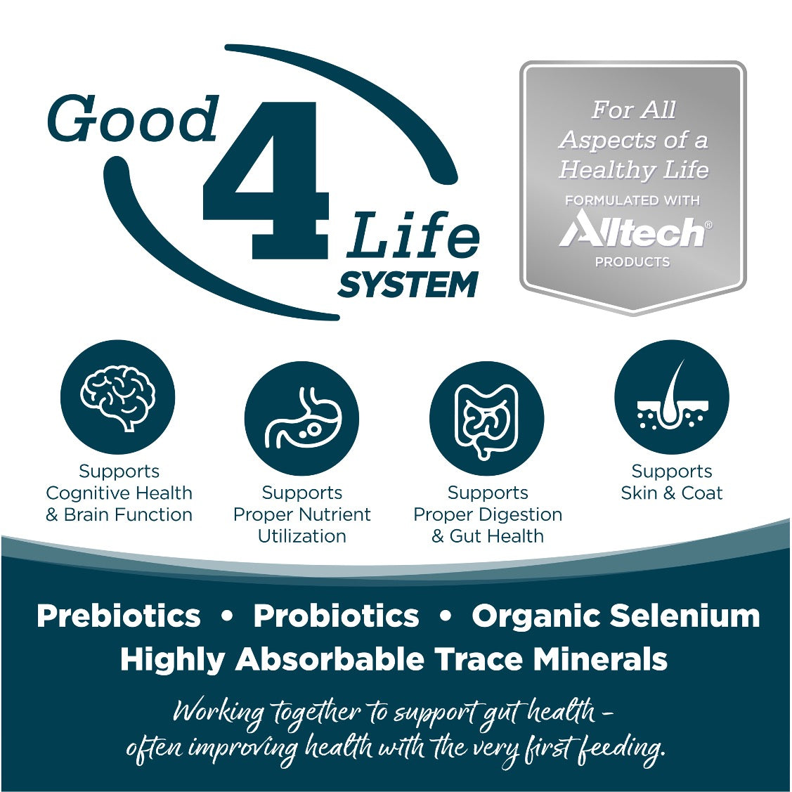 Nutrisource Bocados Pequeños de Pollo y Arroz Adulto