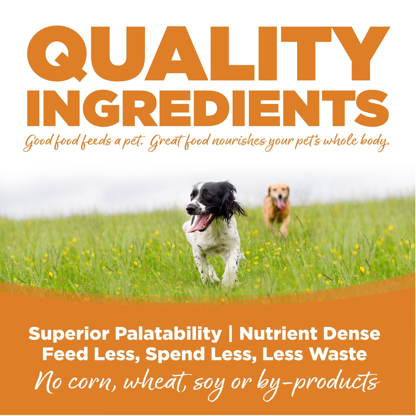 Nutrisource Carne de Cordero y Arroz