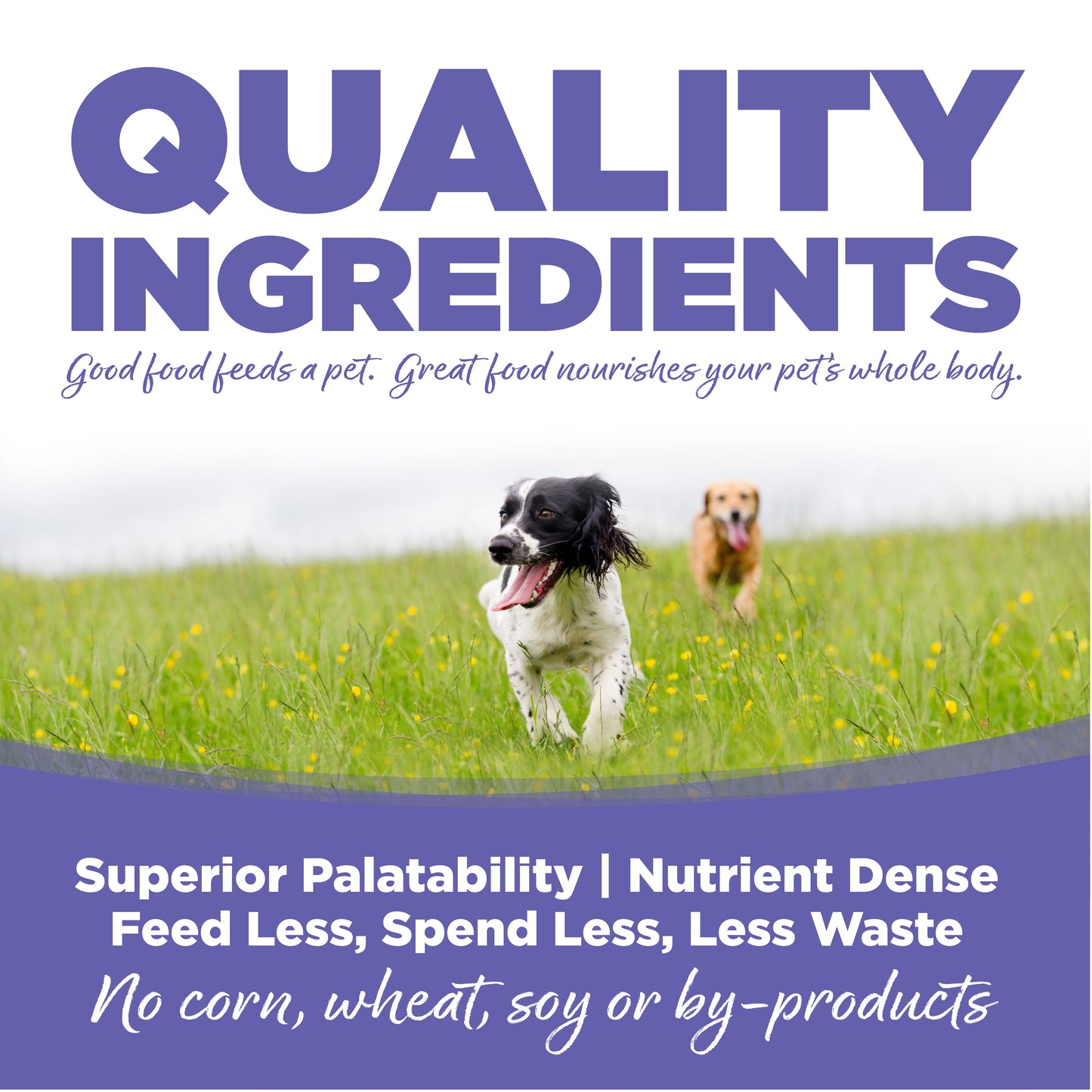 Nutrisource Cachorro Raza Pequeña y Mediana Pollo y Arroz