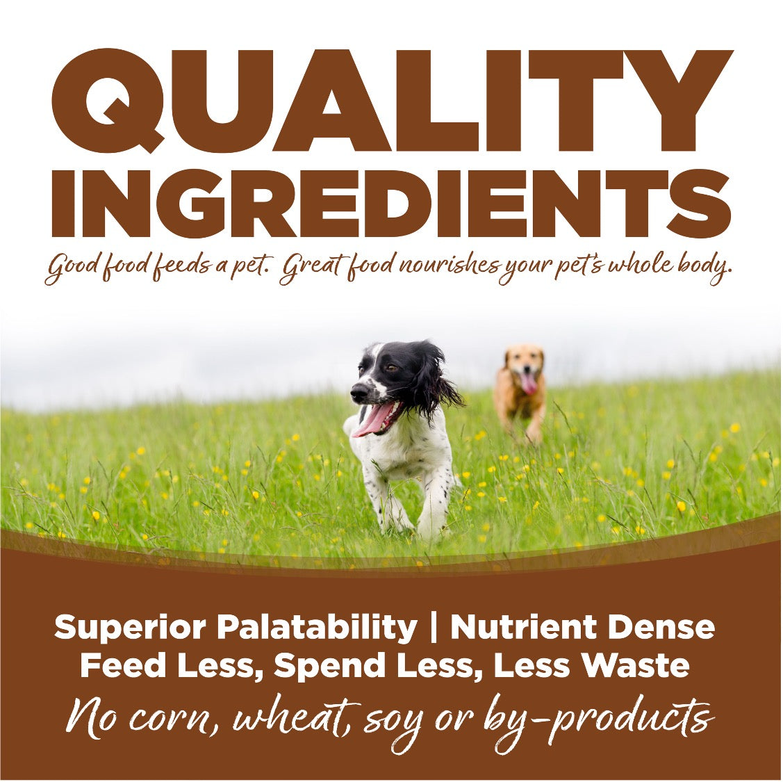 Nutrisource Carne de Cordero y Arroz