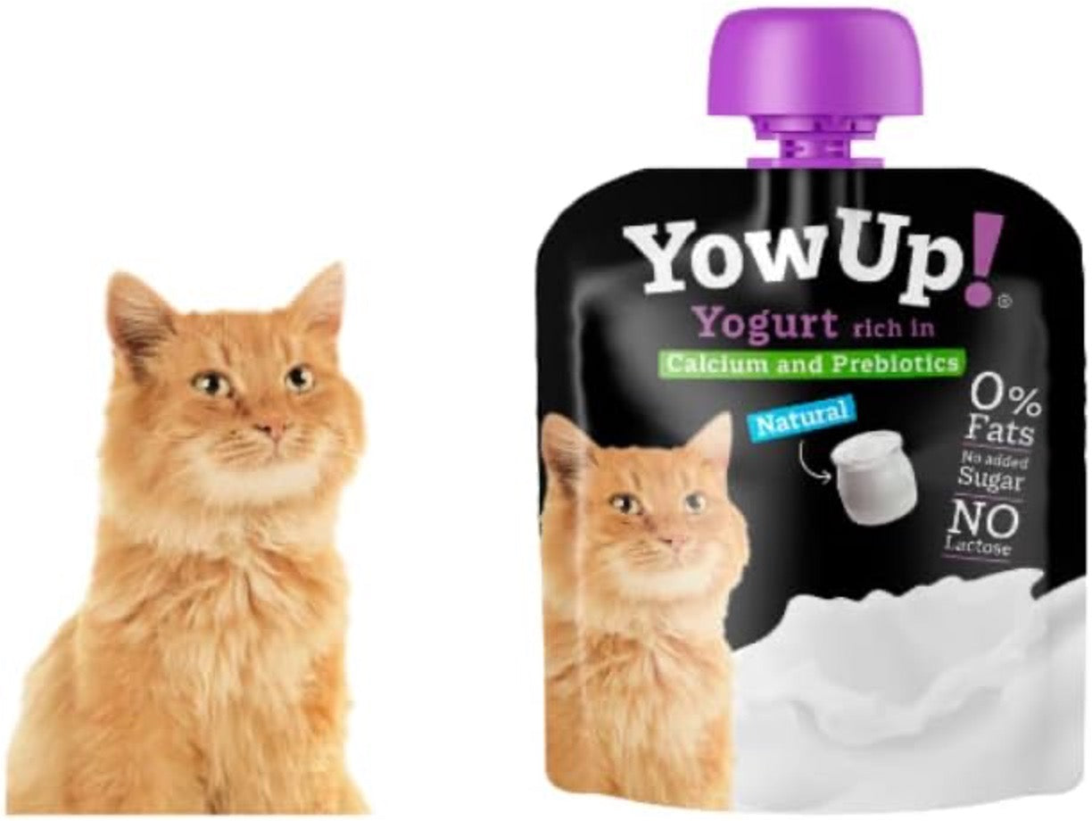 Yougurt Natural para Gatos YowUp