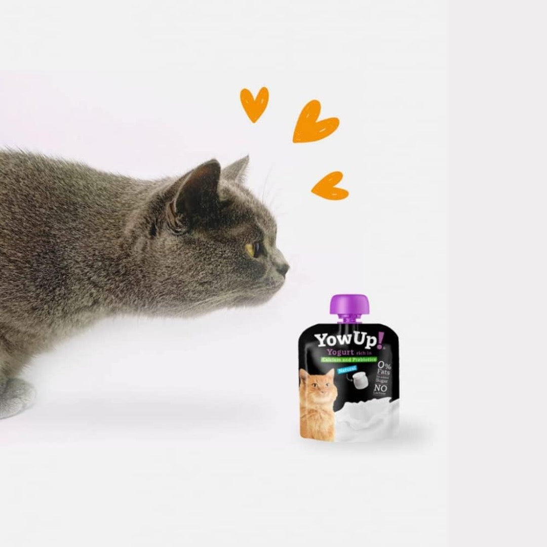Yougurt Natural para Gatos YowUp