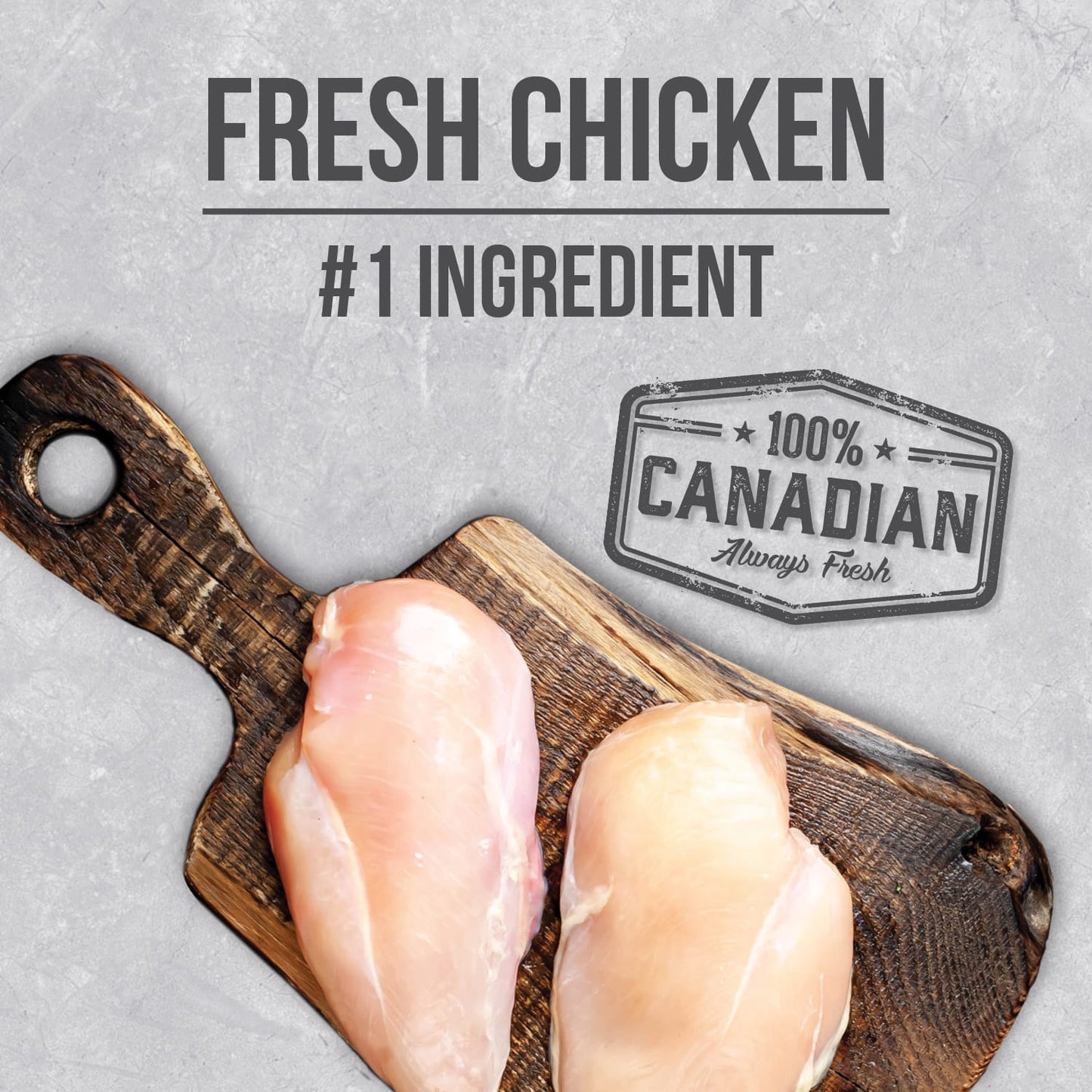 Nutrience Alimento saludable para cachorros, pollo