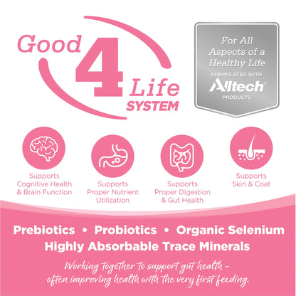 Nutrisource Pure Vita Salmón y Arverjas