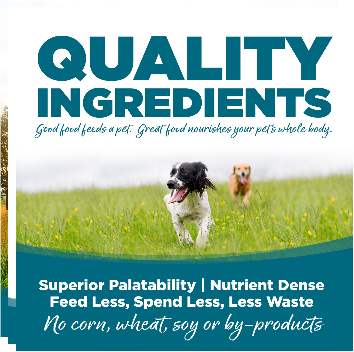Nutrisource Adulto fórmula Pollo y Arroz