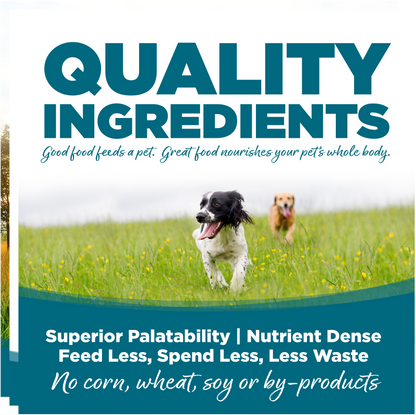 Nutrisource Adulto fórmula Pollo y Arroz