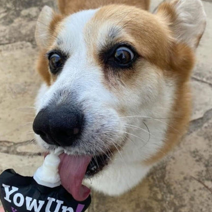 Yougurt Natural para Perros YowUp