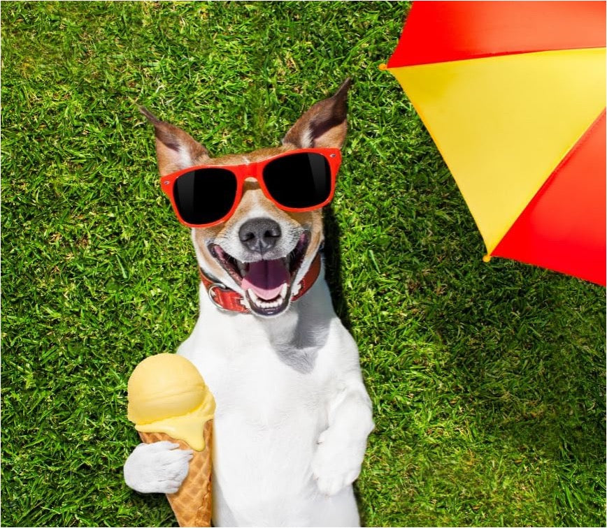 YowUp Helado de yogurt - Tartar de Salmón