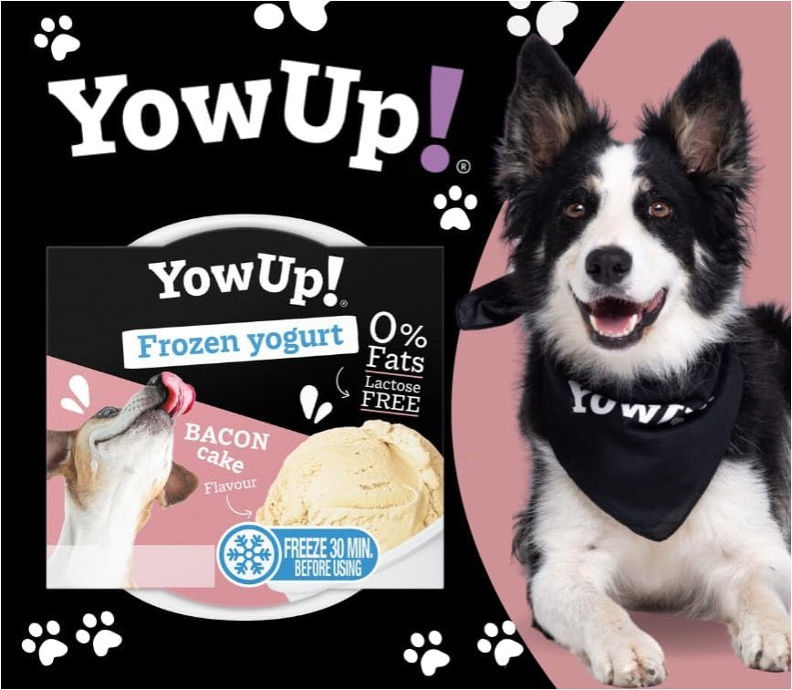 YowUp Helado de yogurt - Sabor pastel de tocino
