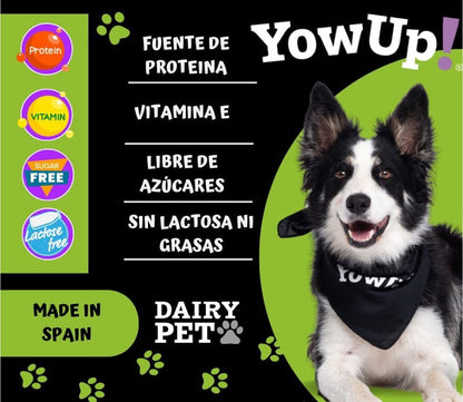 YowUp Helado de yogurt - Tartar de Salmón